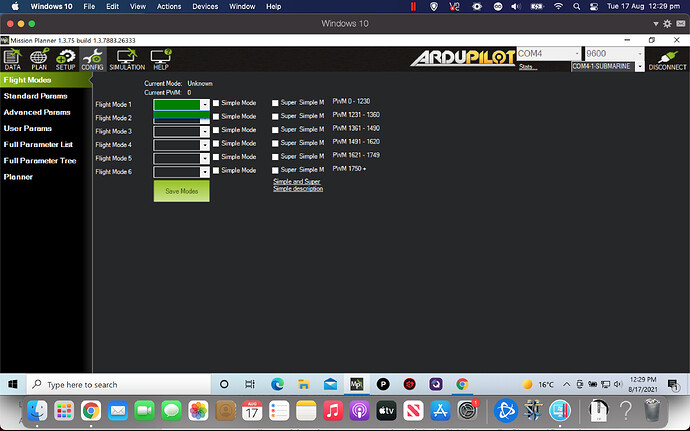 Screen Shot 2021-08-17 at 12.29.30 pm